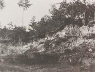 Charles Marville - Cabane des Moutons au Jardin des Plantes à Paris; Untitled (Quarry)