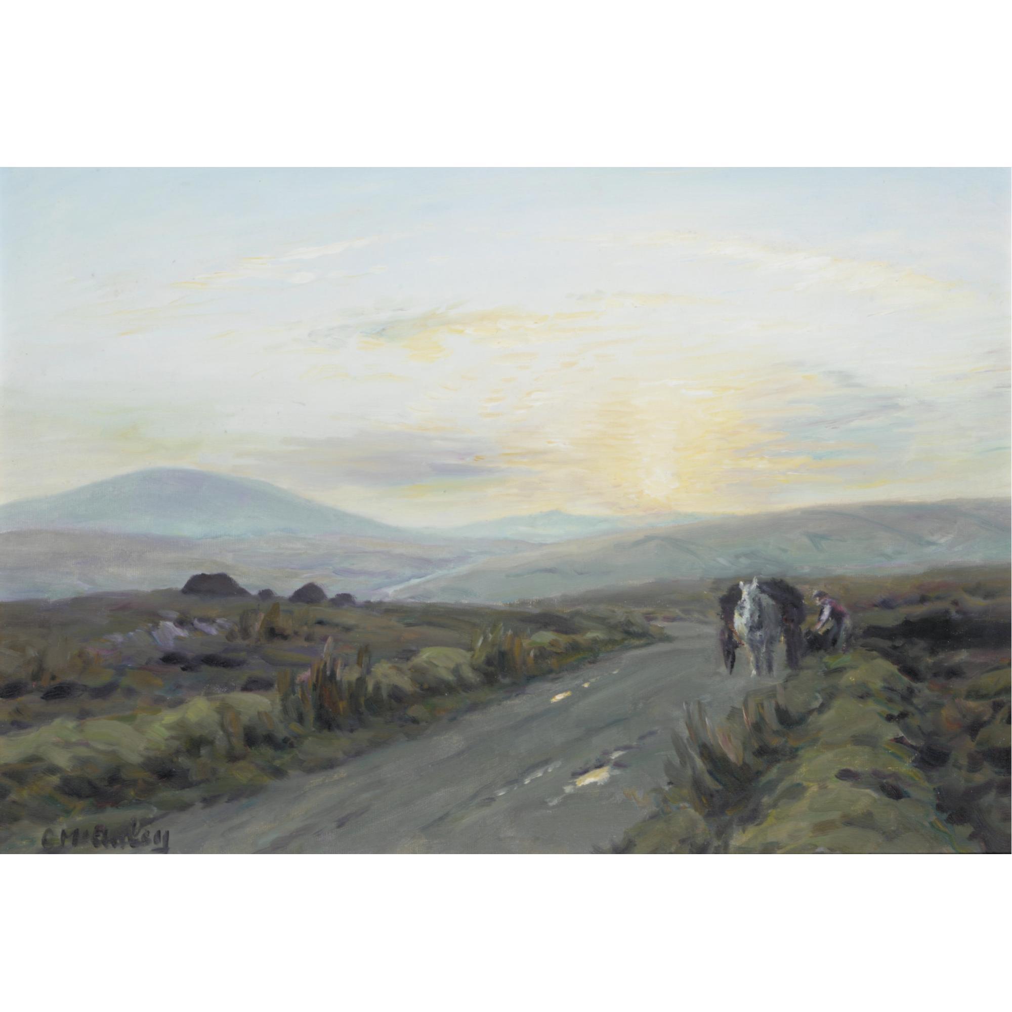 Charles Mcauley - The Long Road Home