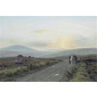 Charles Mcauley - The Long Road Home