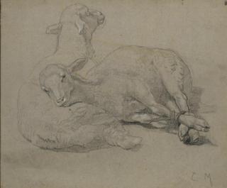 Charles Monginot - Deux agneaux allongés dont l\'un avec les pattes liées