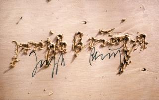 Charles Paul Wilp - »Joseph Beuys. Sandzeichnungen in Diani«