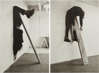 Charles Ray - Plank Piece I-Ii