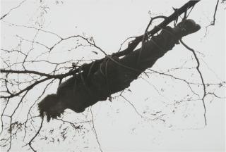 Charles Ray - Untitled