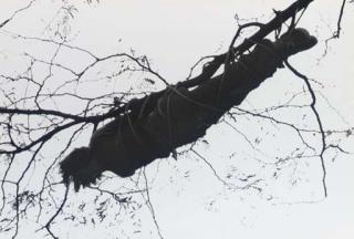 Charles Ray - Untitled