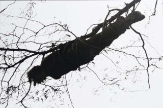 Charles Ray - Untitled