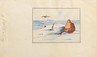 Charles Reginald Ford - \'A feeble attempt to show how the Royal Society Range of mountains appeared sometimes\'; \'Some of the inhabitants\' (2)