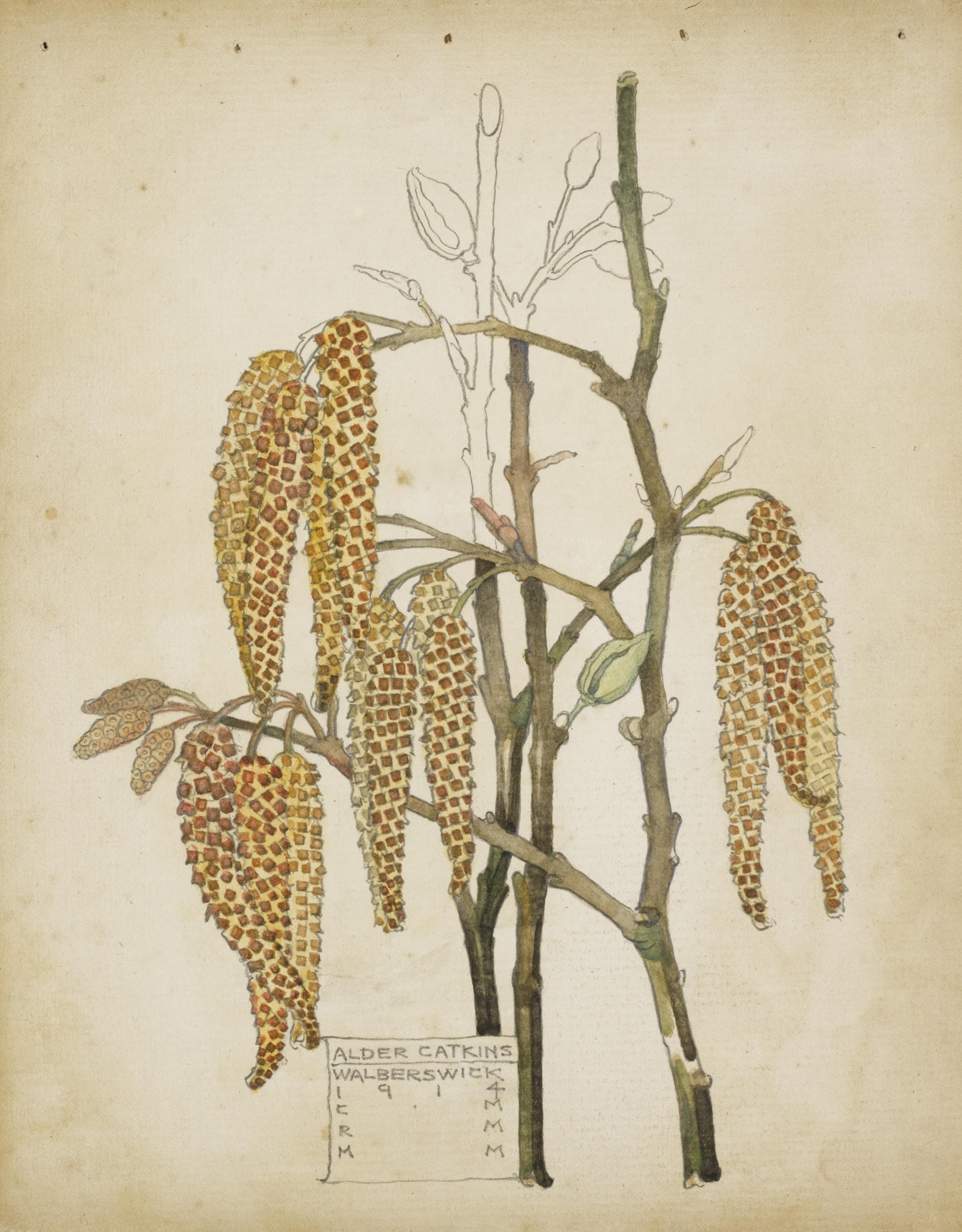 Charles Rennie Mackintosh - Alder Catkins, Walberswick