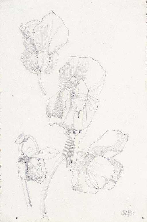 Charles Rennie Mackintosh - Large petals