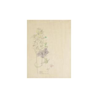 Charles Rennie Mackintosh - Mustard-Seed Flower, Holy Island