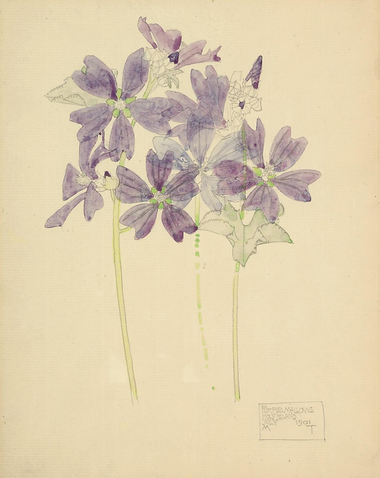 Charles Rennie Mackintosh - Purple Mallows, Holy Island