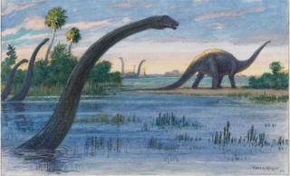 Charles Robert Knight - Diplodocus