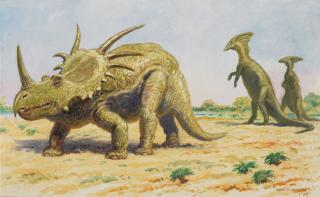 Charles Robert Knight - Styracosaurus and Parasaurolohus