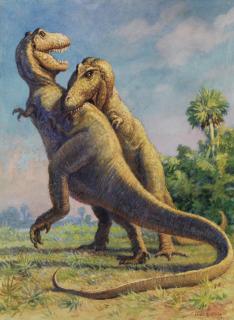 Charles Robert Knight - Tyrannosaurus Rex