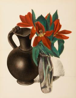 Charles Sheeler - Tulips-Suspended Forms