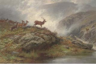 Charles Stuart, F.S.A. - Declaration of War