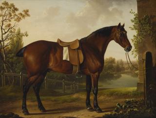 Charles Towne - A Bay Hunter Saddled Outside A Stable