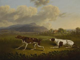 Charles Towne - British two Pointers In A Landscape