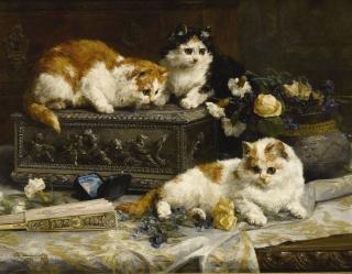 Charles Van Den Eycken - Belgian three Watchful Kittens