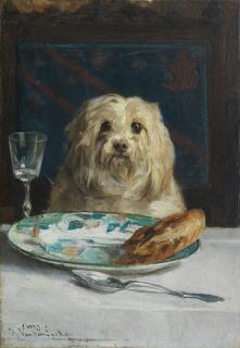 Charles Van Den Eycken - Bon appetite - A Maltese at the dinner table