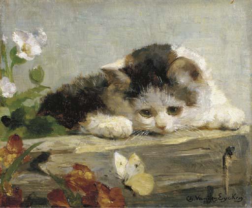 Charles Van den Eycken - Chat: a difficult catch