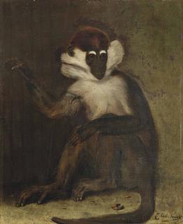 Charles Verlat - Un Macaque