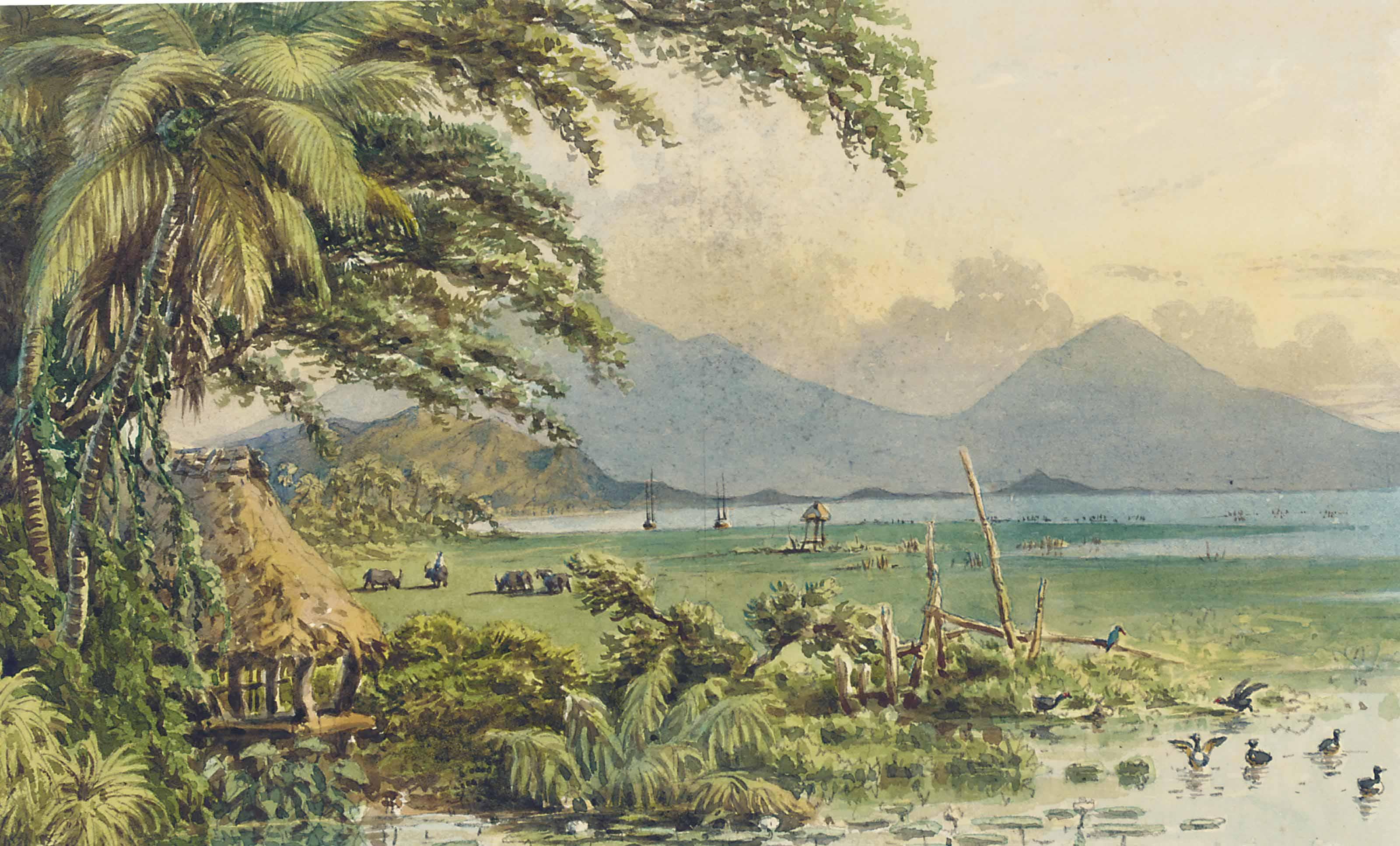 Charles W. Andrews - Laguna de Bay, Philippines