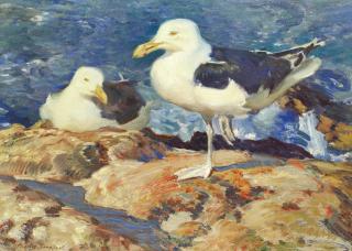 Charles Walter Simpson, R.I., R.O.I. - Great Black Backed Gulls