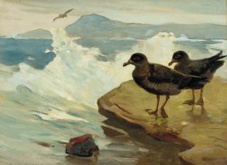 Charles Walter Simpson - Seabirds On A Rock