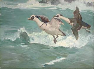 Charles Walter Simpson - Wild Bird Series No.55, Smew; And Wild Bird Series No. 71, Heron