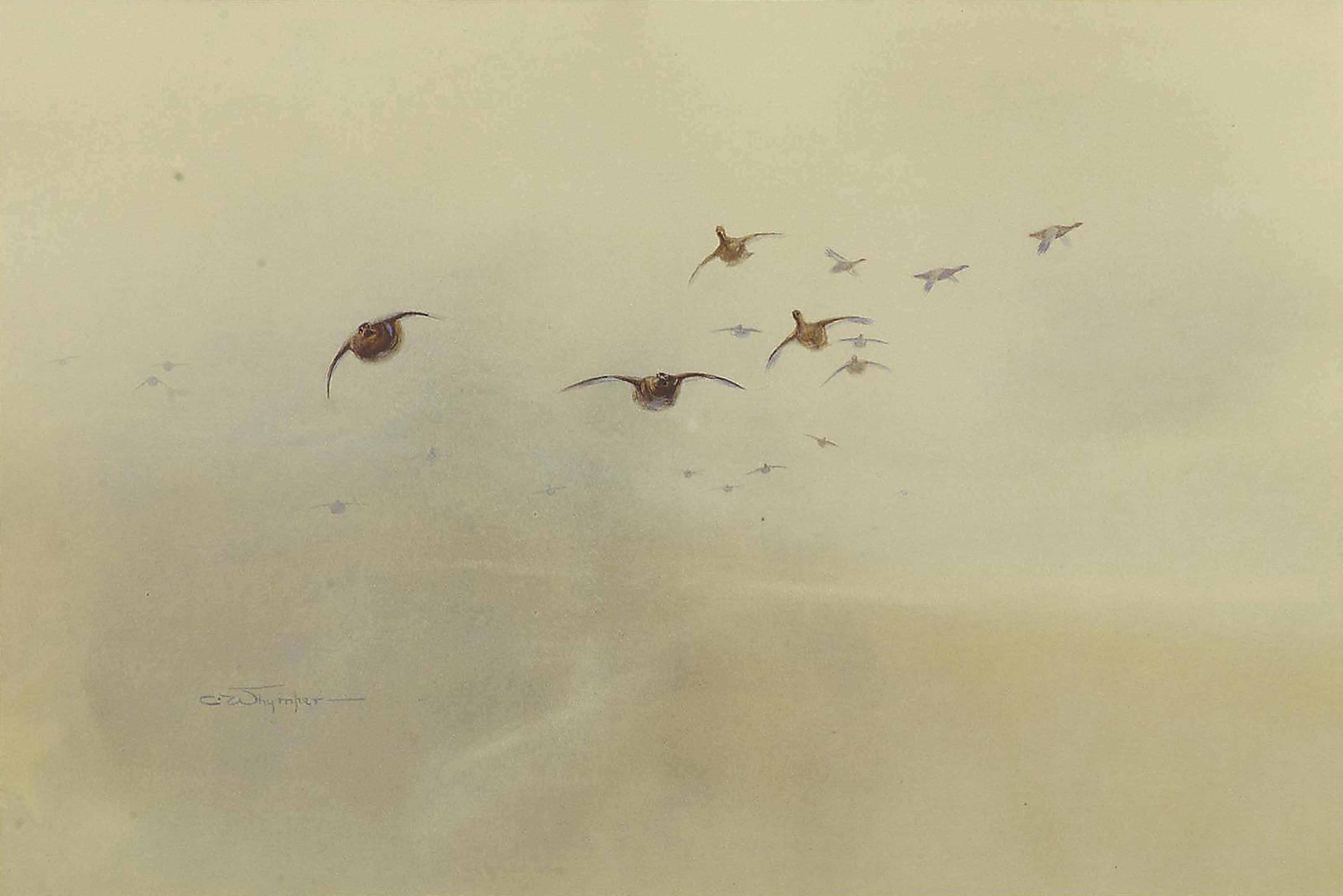 Charles Whymper, R.I. - Red grouse in flight