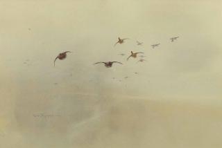 Charles Whymper, R.I. - Red grouse in flight