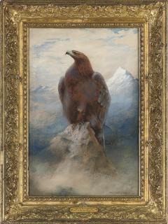 Charles Whymper - The eagle