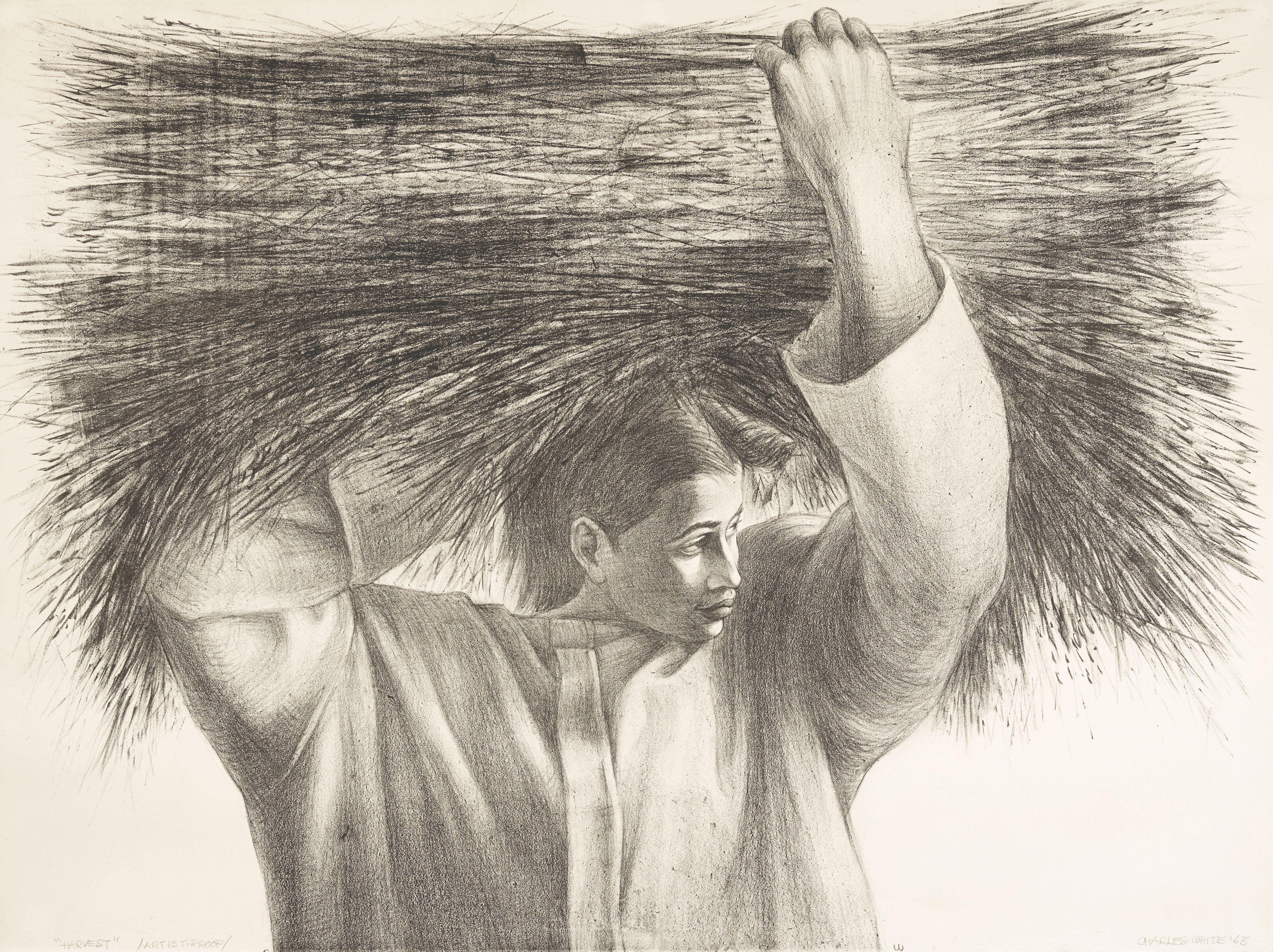 Charles Wilbert White - Harvest