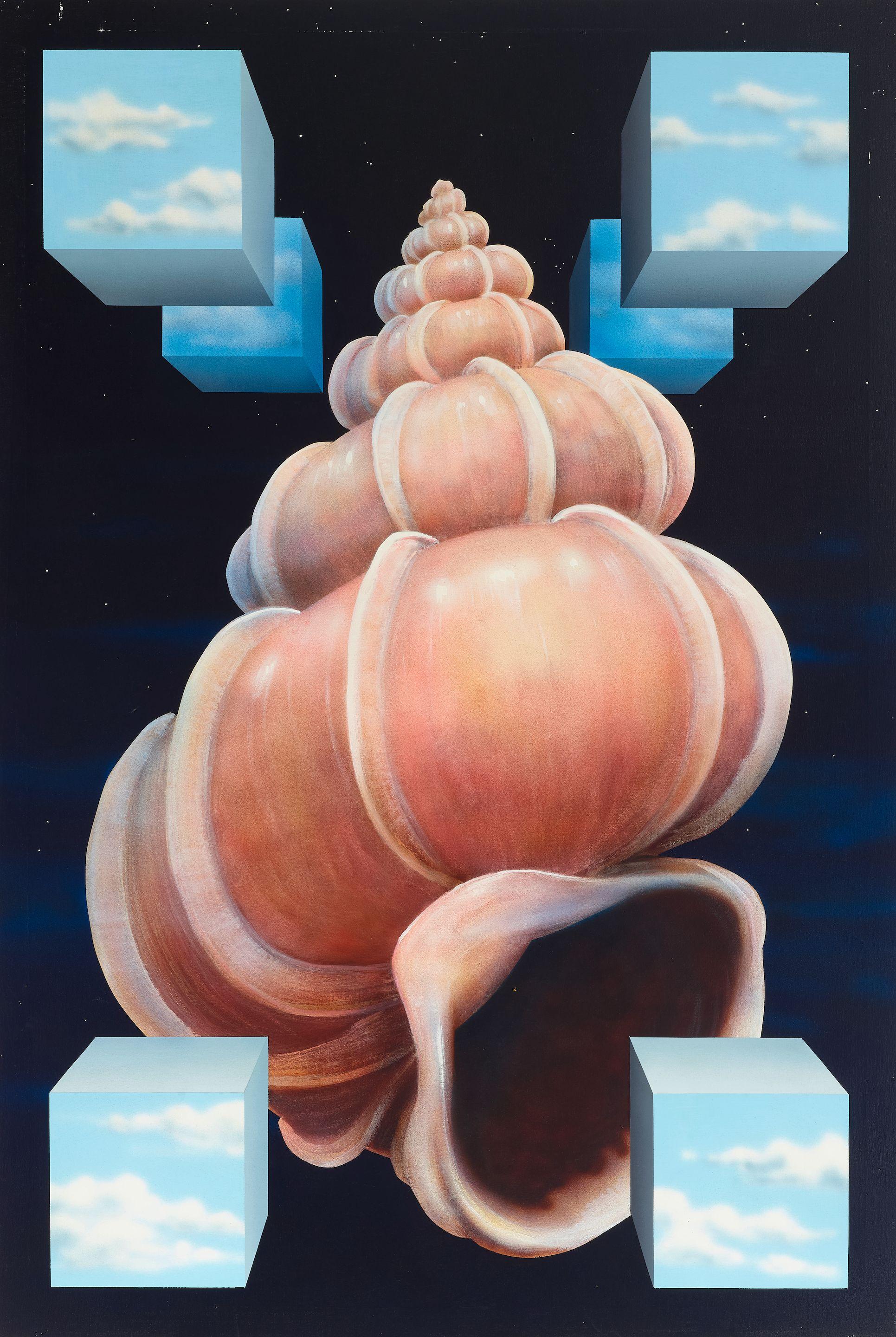 Charley Brown - Shell with Sky Cubes