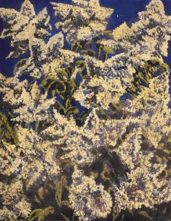 Charley Toorop - Witte Seringenboom