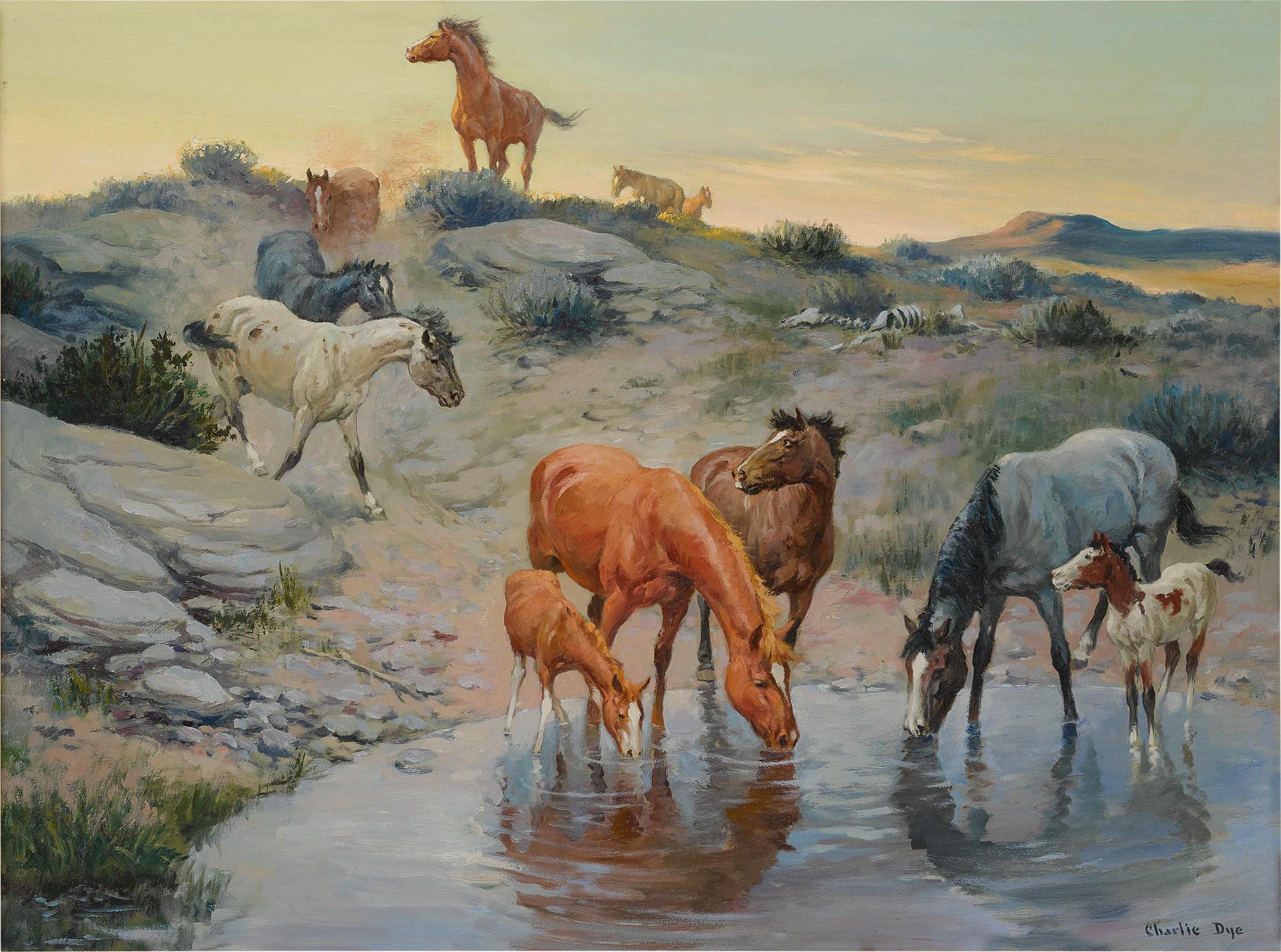 Charlie Dye - At the Waterhole