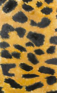 Charlotte Beaudry - Sans titre