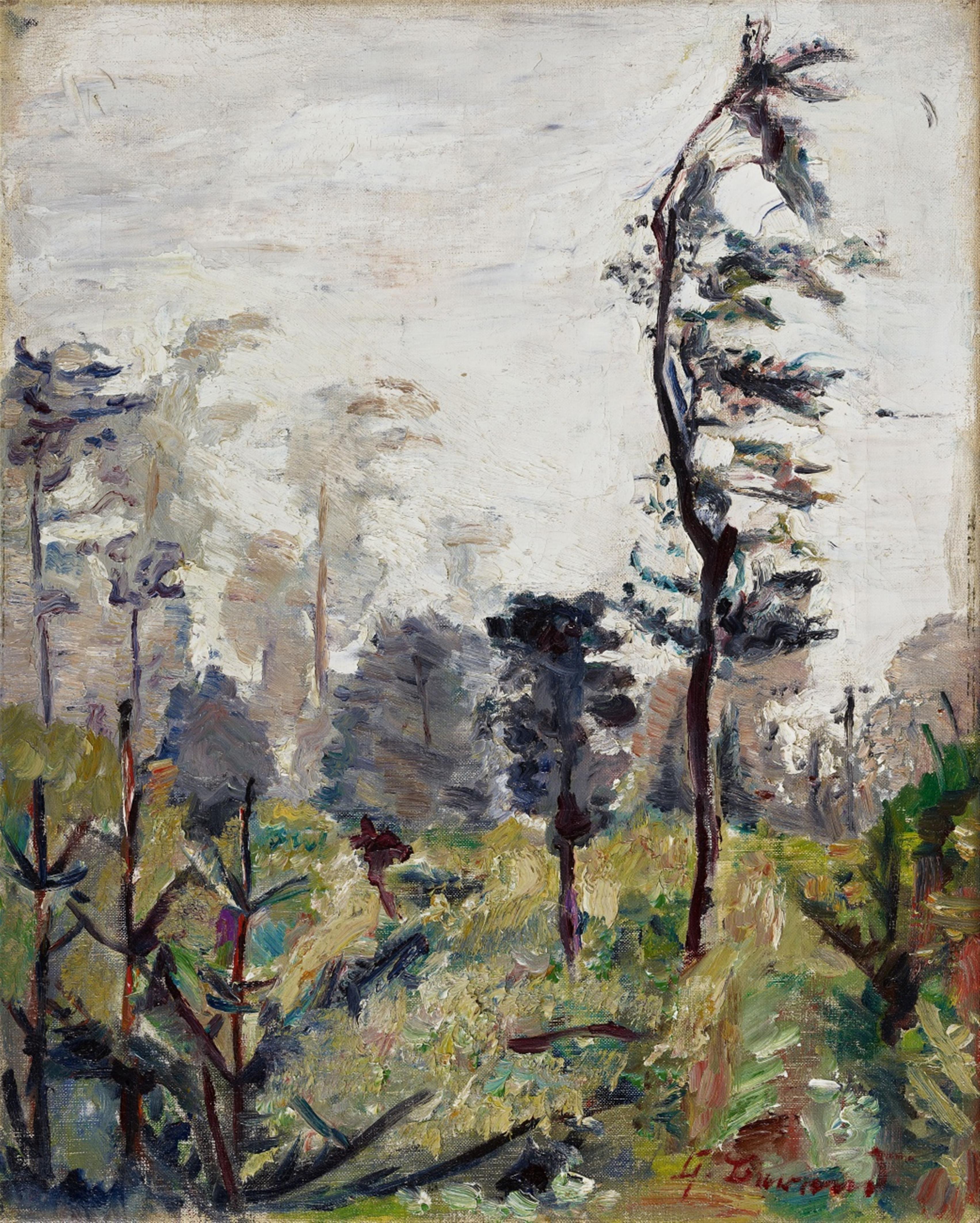 Charlotte Berend-Corinth - Waldlandschaft