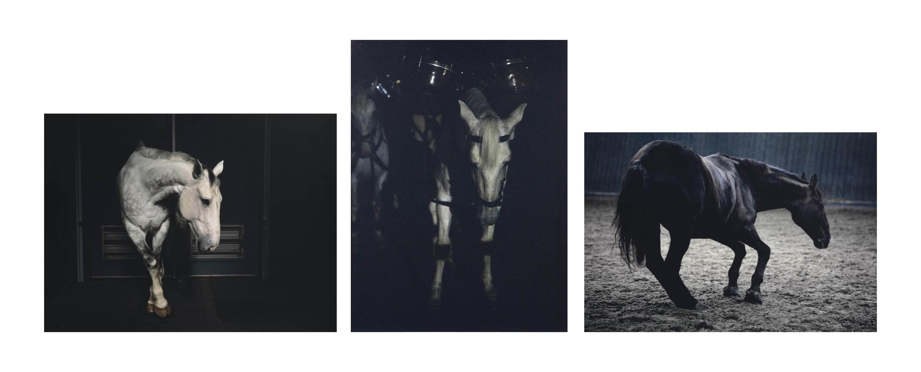 Charlotte Dumas - Charlotte Dumas (B. 1977)