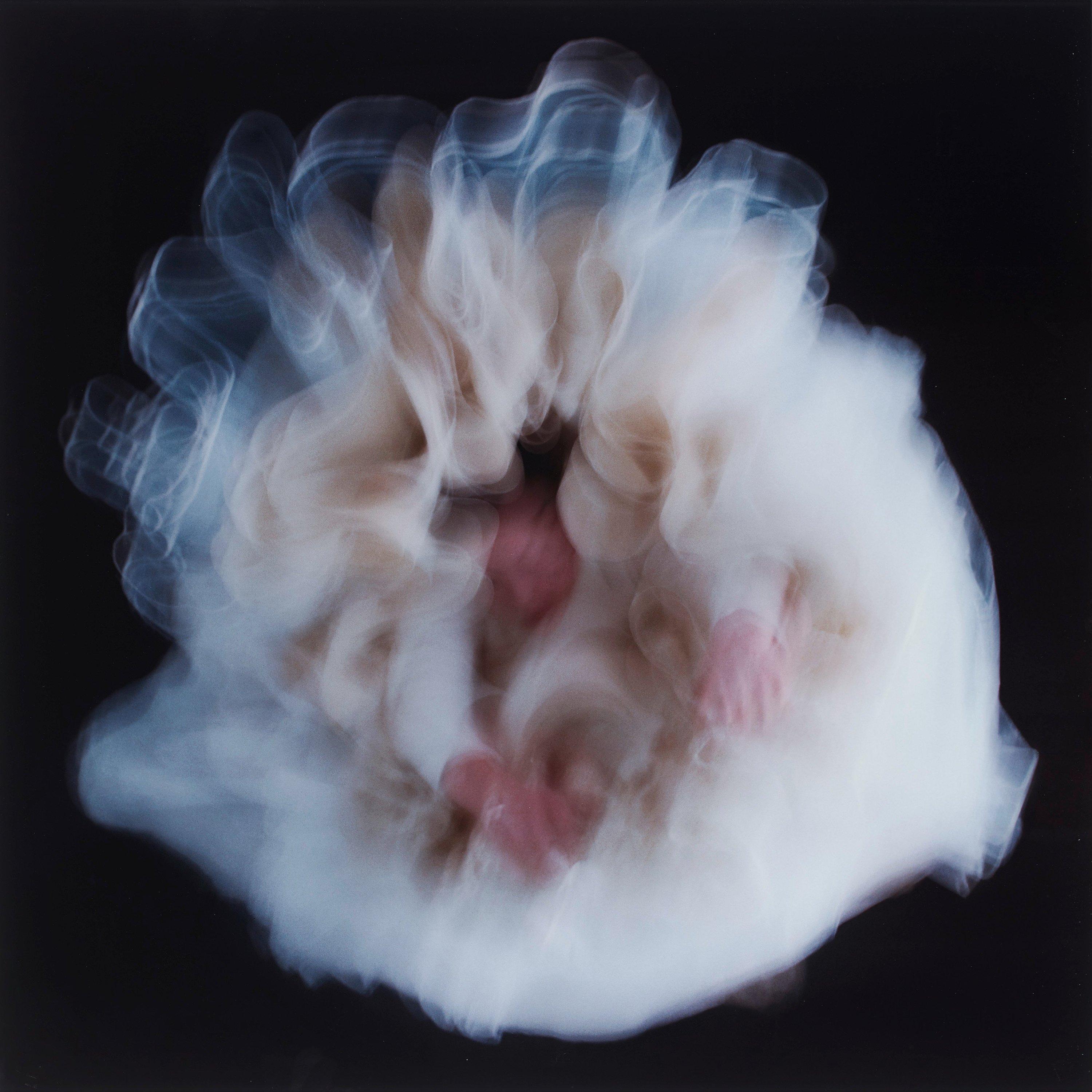 Charlotte Gyllenhammar - \