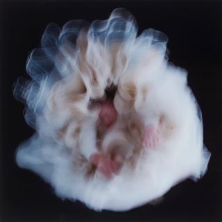 Charlotte Gyllenhammar - \