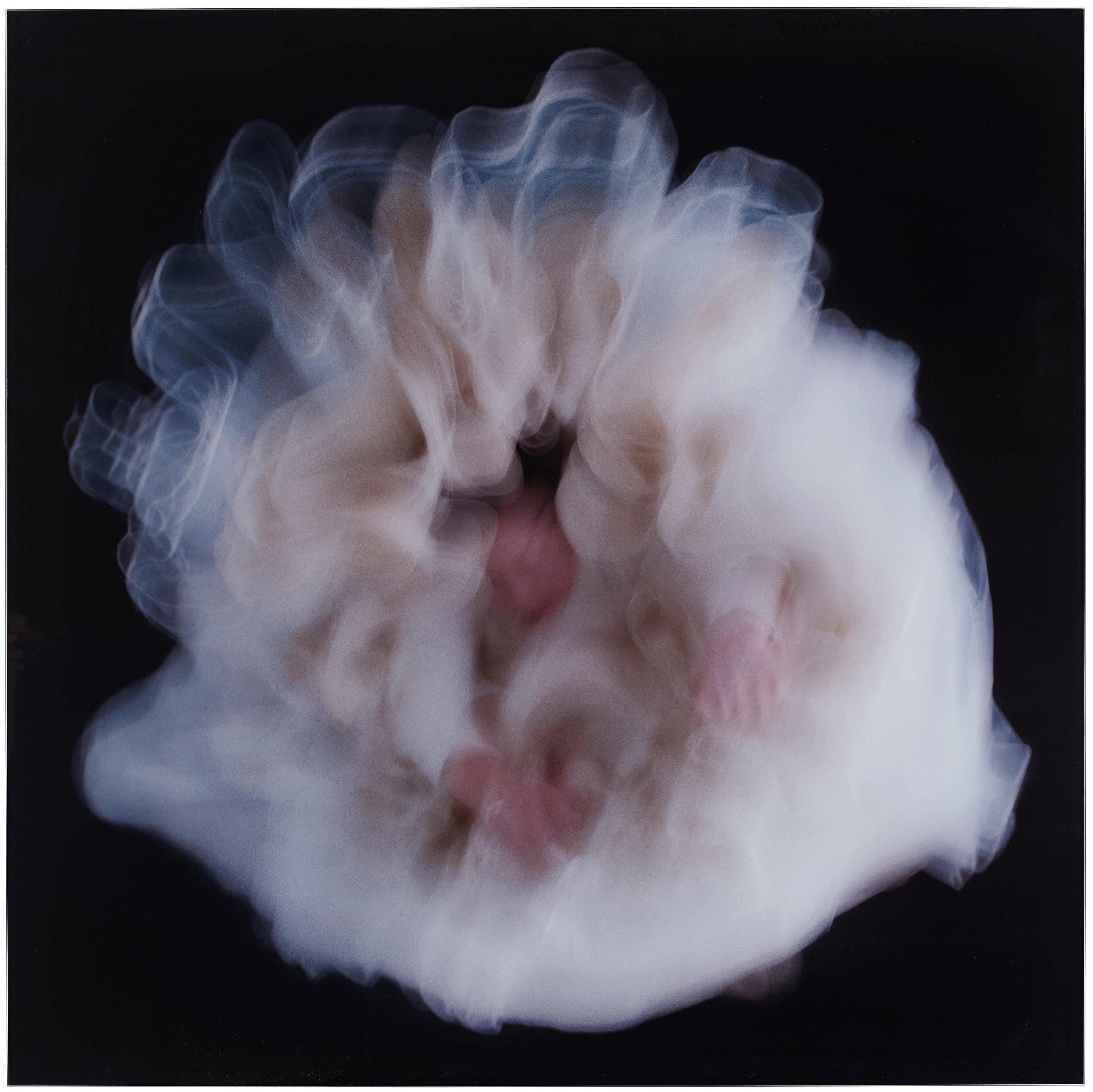 Charlotte Gyllenhammar - \