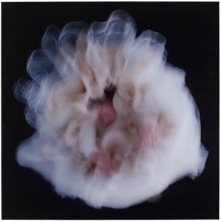 Charlotte Gyllenhammar - \