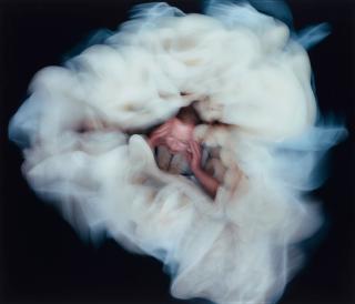 Charlotte Gyllenhammar - \