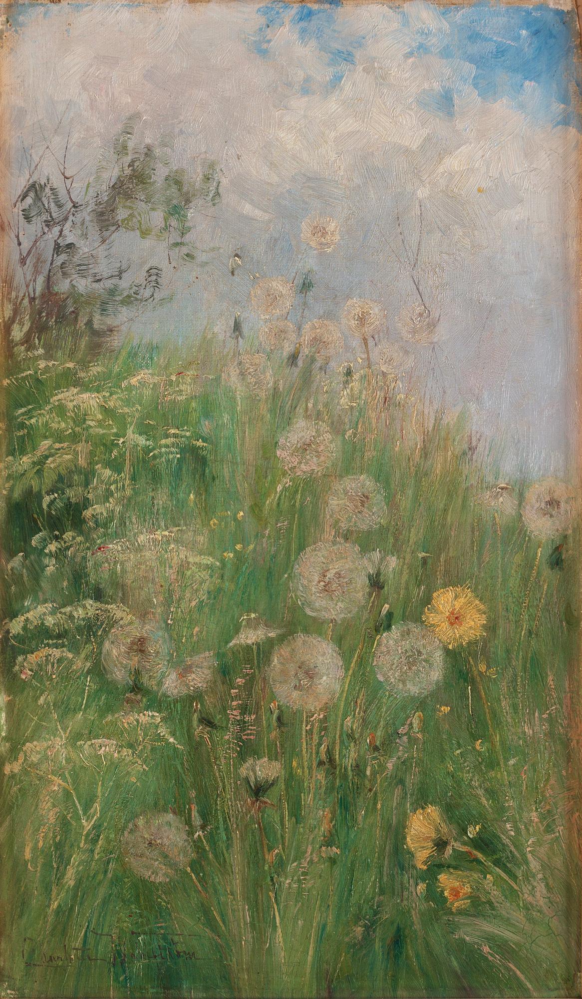 Charlotte Wahlström - Dandelions