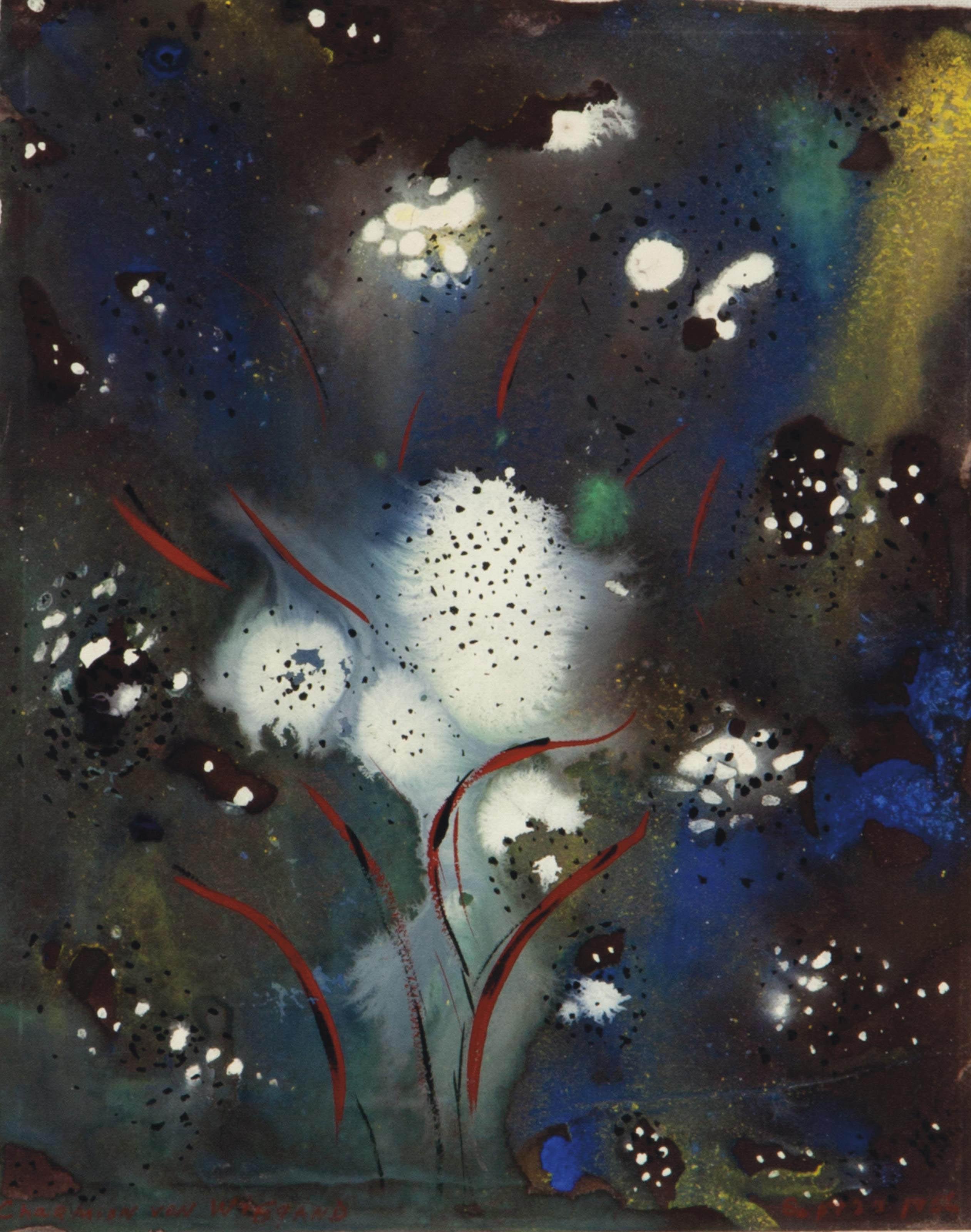 Charmion von Wiegand - Secrets of the Reef