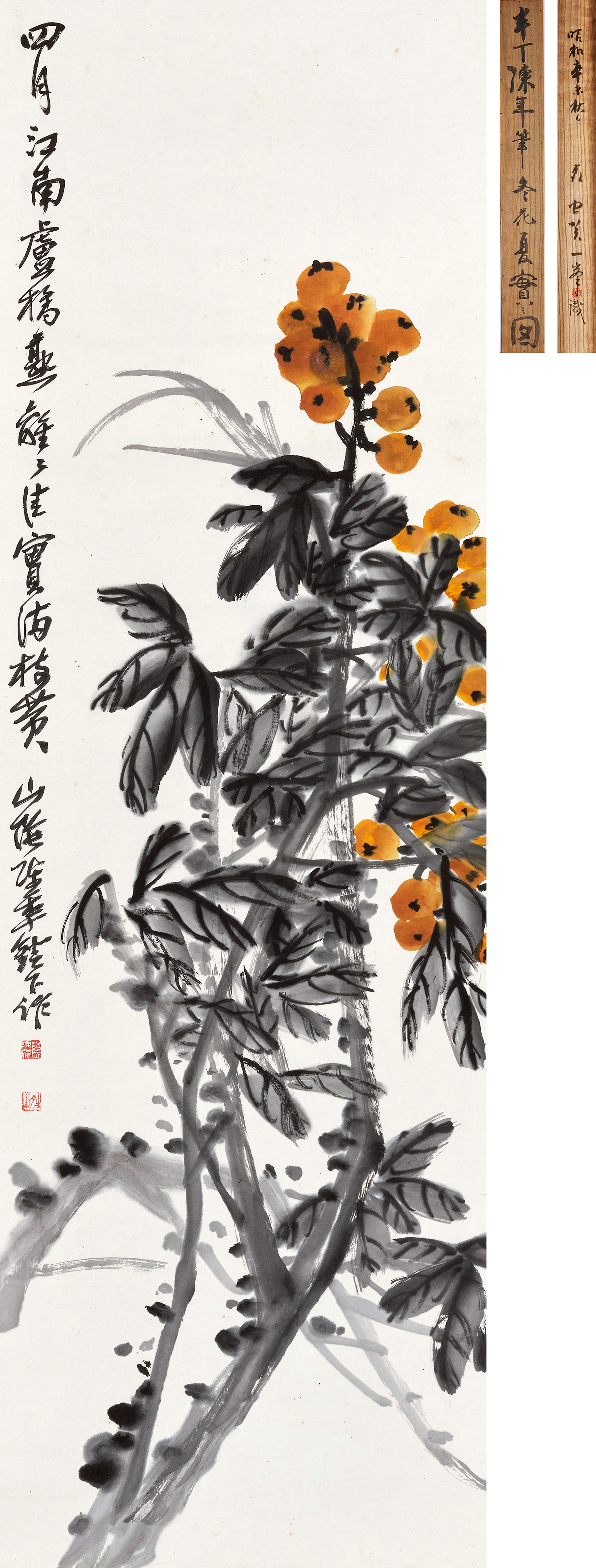 Chen Banding - Loquat