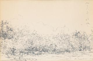 Chen Chi - Landscape, 1976