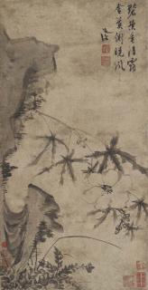 Chen Chun - Musk Mallow and Rock