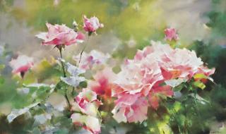 Chen Erfu - Red Melody